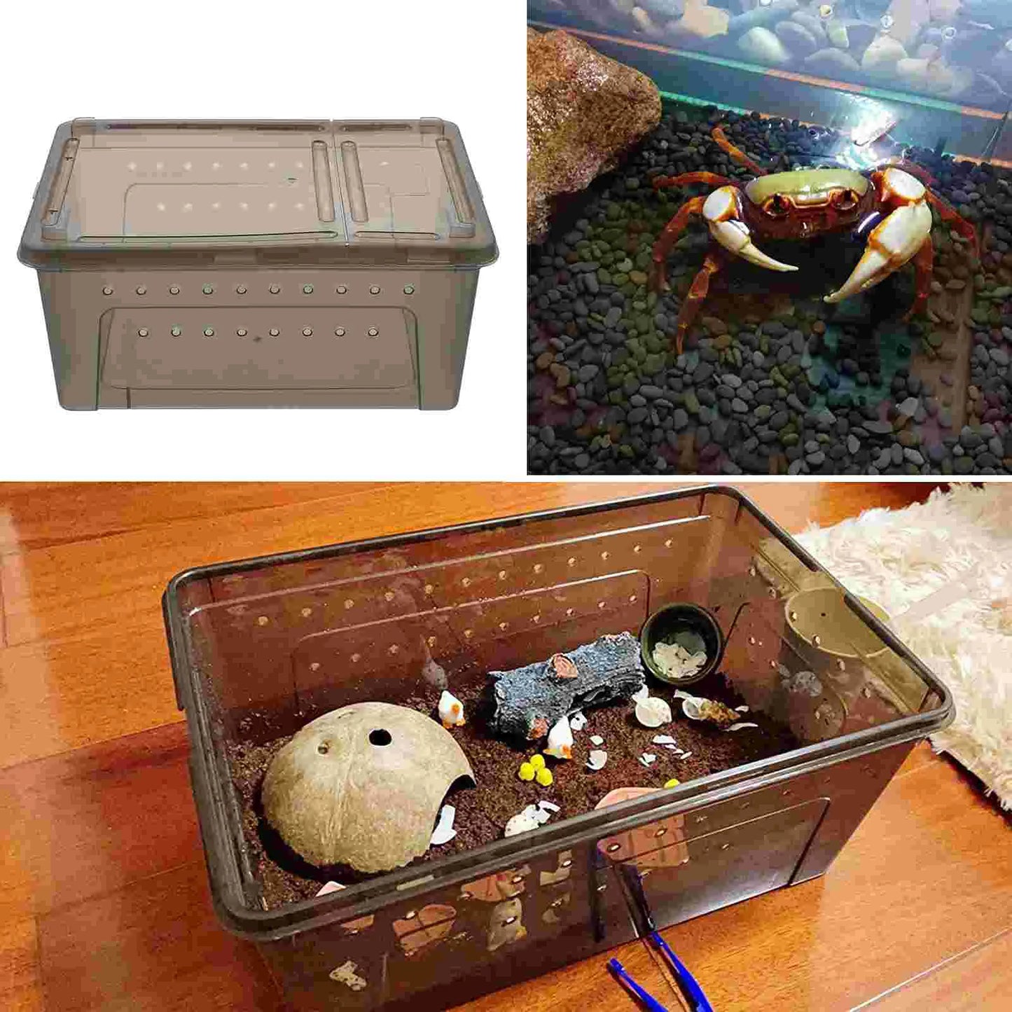 Plastic Reptile Breeding Box Ventilated Cage Safety Terrarium for Small Crawling Insects Pet Supplies Container